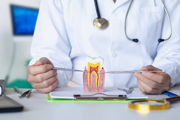 Best Weekend Emergency Dentist in Batesville, AR